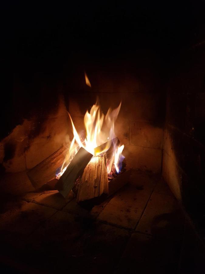 Canto Do Sabia *